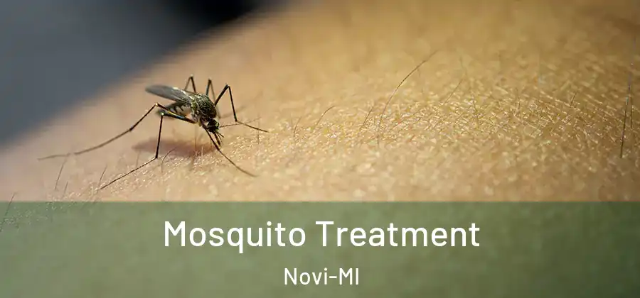  Mosquito Treatment Novi-MI