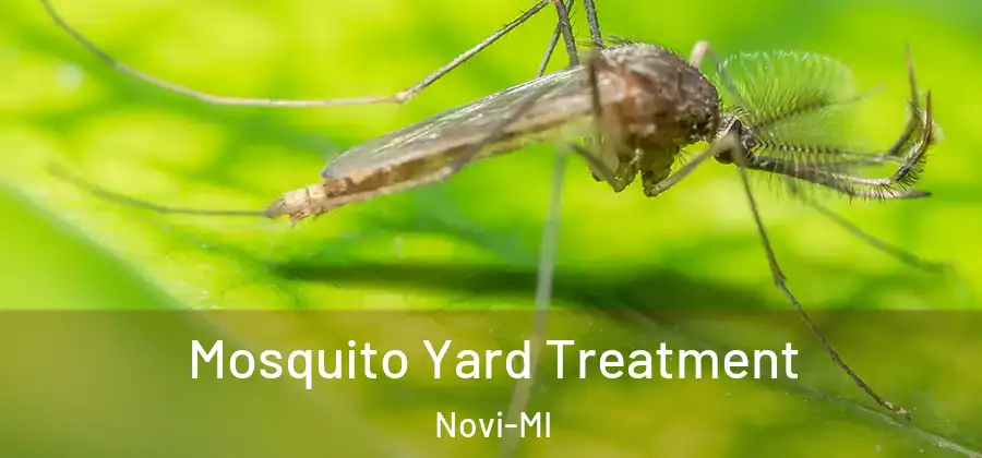 Mosquito Yard Treatment Novi-MI