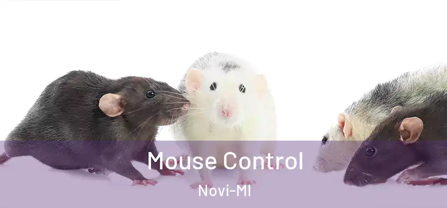  Mouse Control Novi-MI