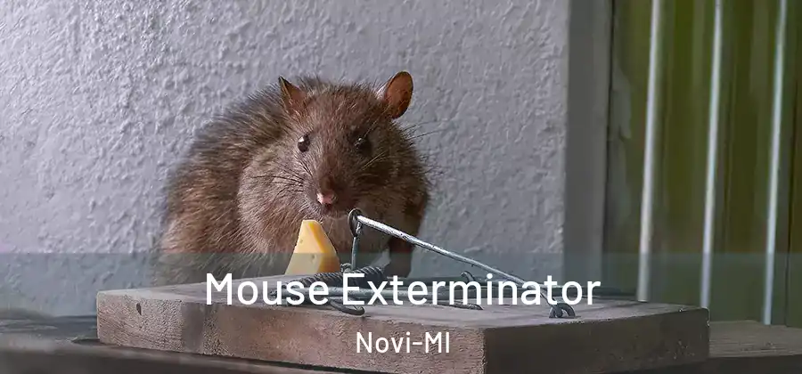 Mouse Exterminator Novi-MI