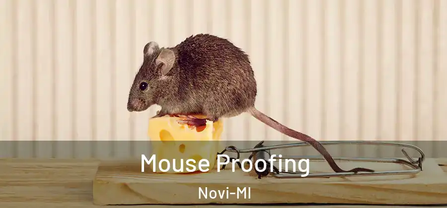  Mouse Proofing Novi-MI
