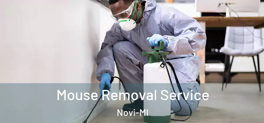 Mouse Removal Service Novi-MI