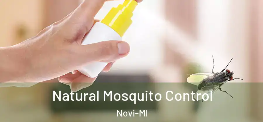  Natural Mosquito Control Novi-MI