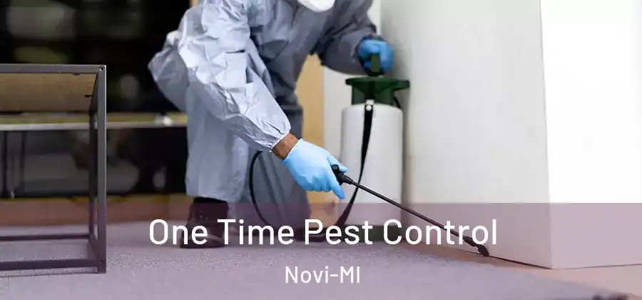  One Time Pest Control Novi-MI