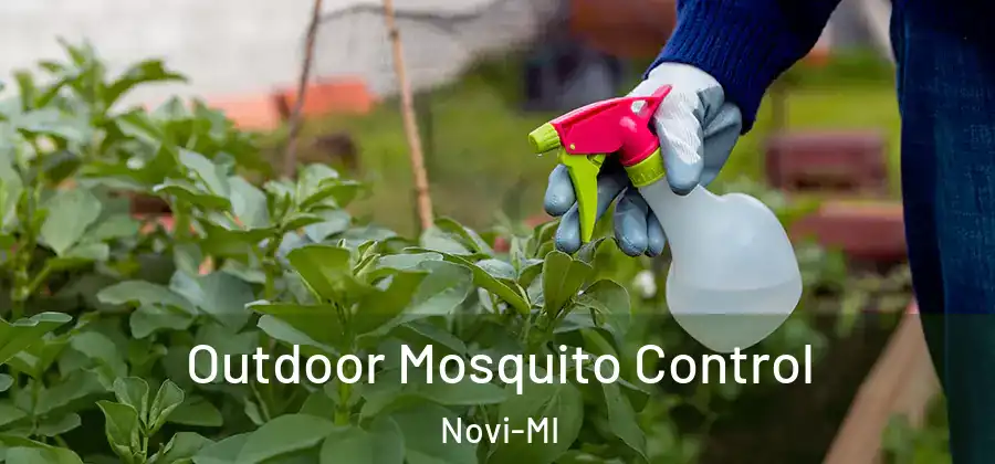 Outdoor Mosquito Control Novi-MI