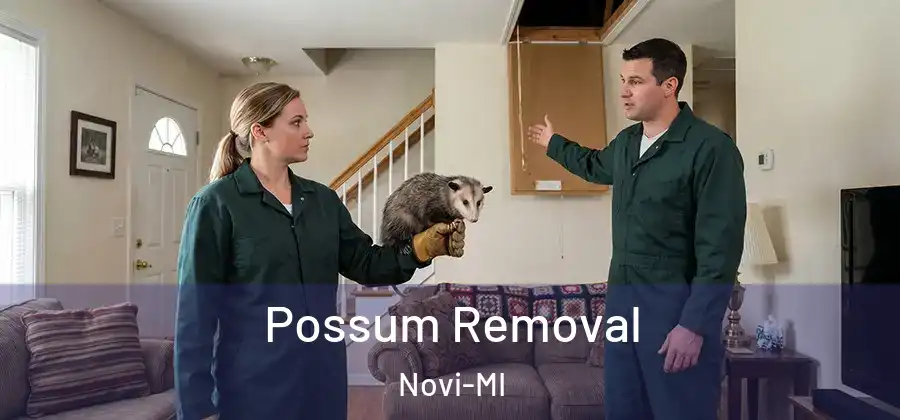  Possum Removal Novi-MI