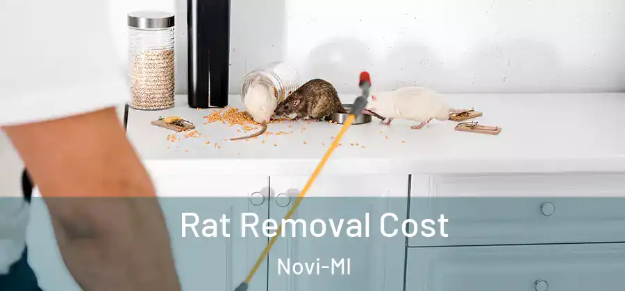 Rat Removal Cost Novi-MI