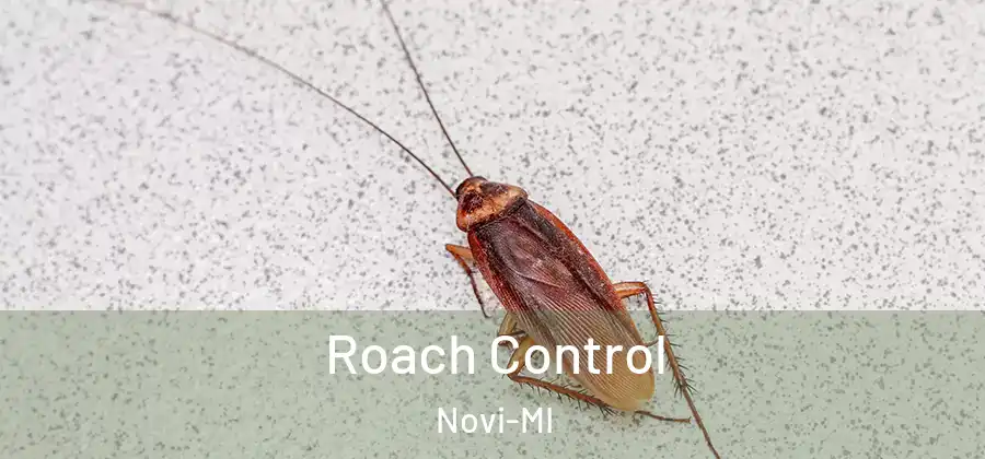  Roach Control Novi-MI