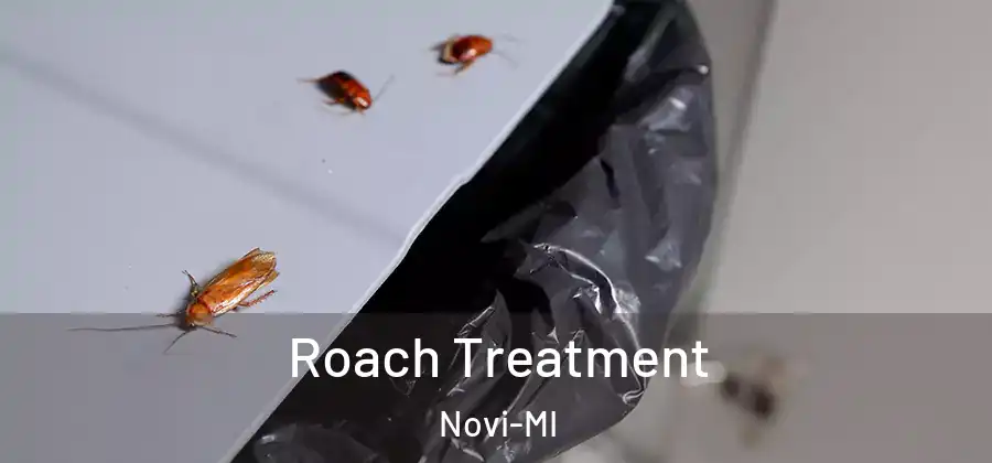  Roach Treatment Novi-MI