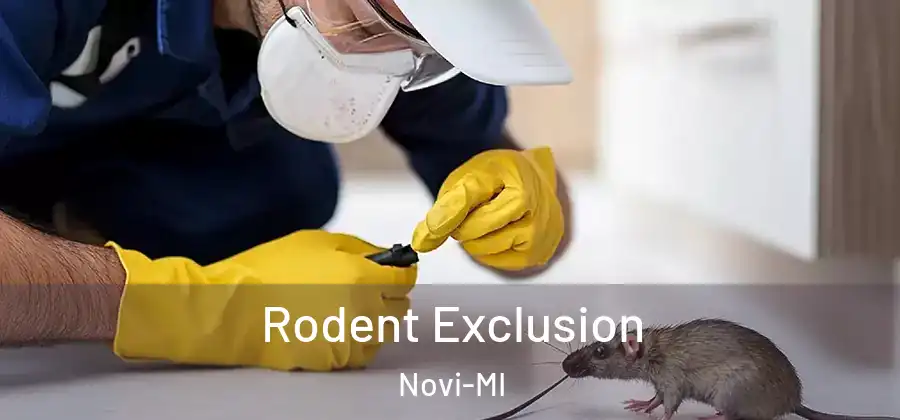 Rodent Exclusion Novi-MI
