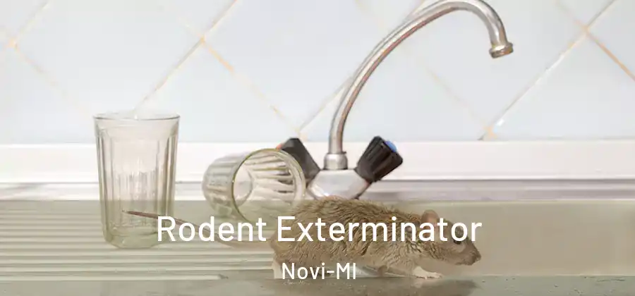 Rodent Exterminator Novi-MI