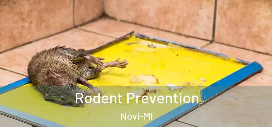 Rodent Prevention Novi-MI