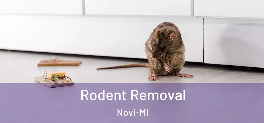 Rodent Removal Novi-MI