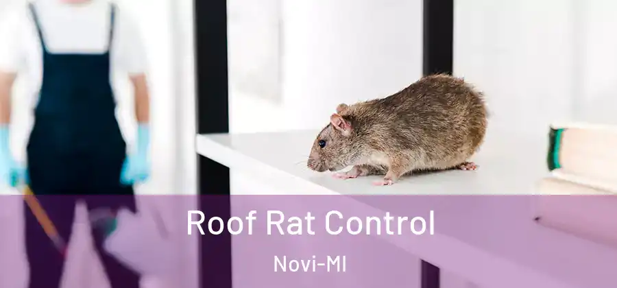  Roof Rat Control Novi-MI