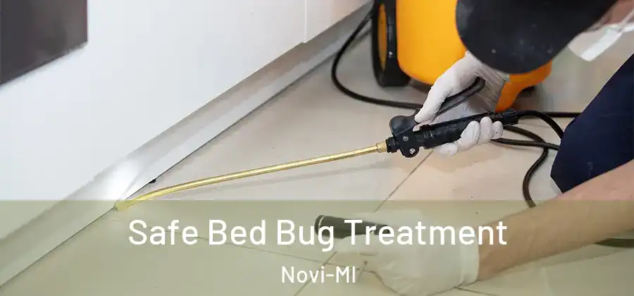  Safe Bed Bug Treatment Novi-MI