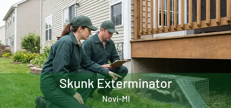 Skunk Exterminator Novi-MI