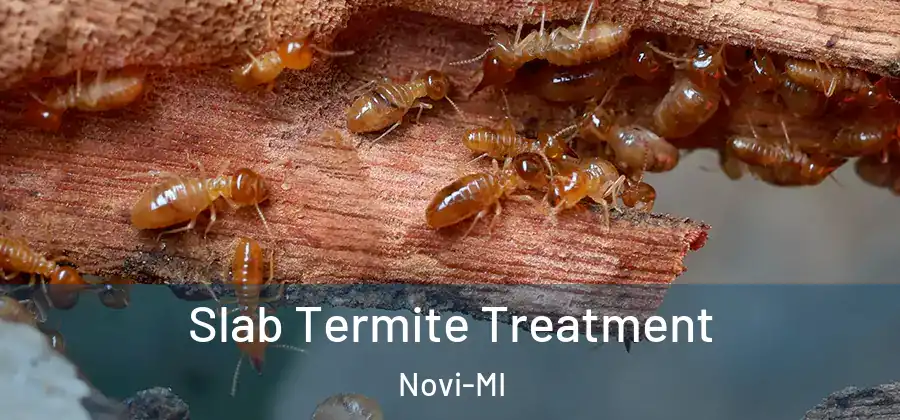 Slab Termite Treatment Novi-MI