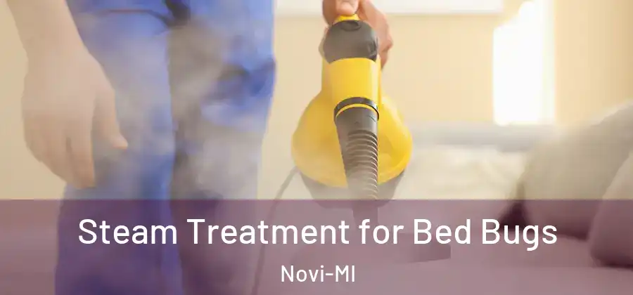 Steam Treatment for Bed Bugs Novi-MI