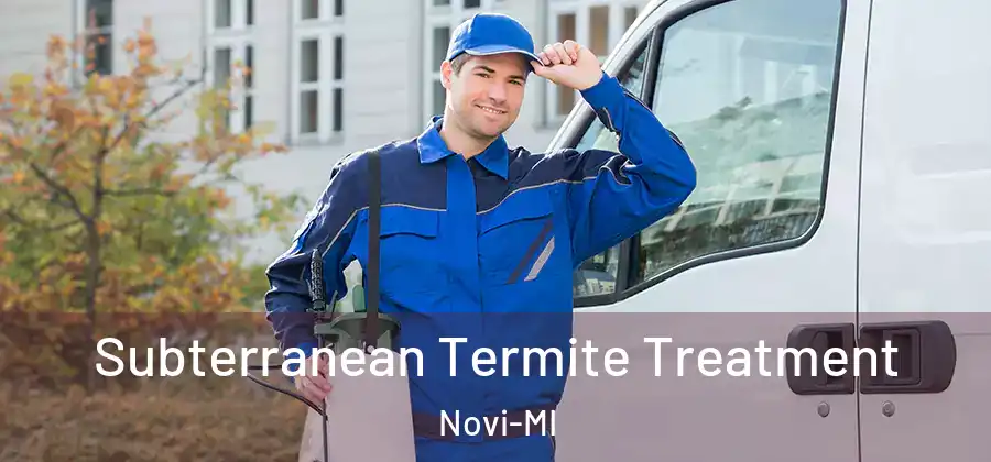 Subterranean Termite Treatment Novi-MI