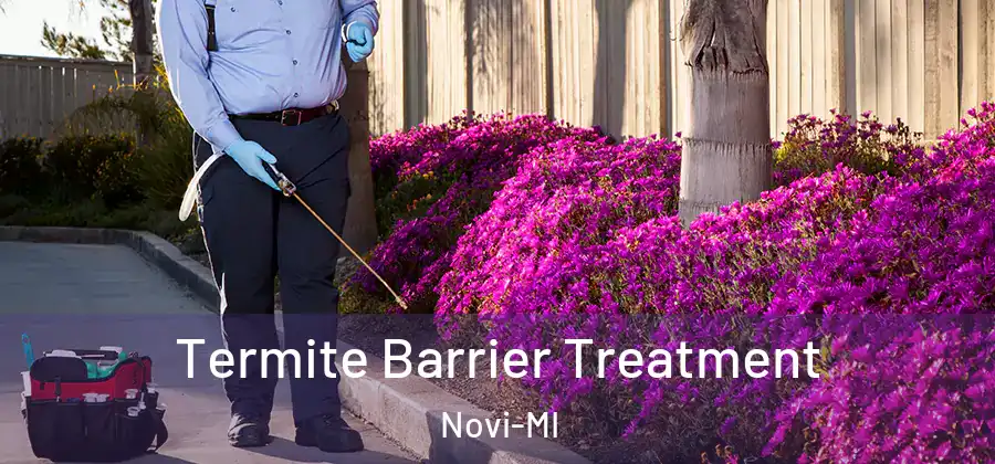  Termite Barrier Treatment Novi-MI