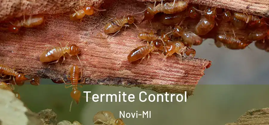  Termite Control Novi-MI