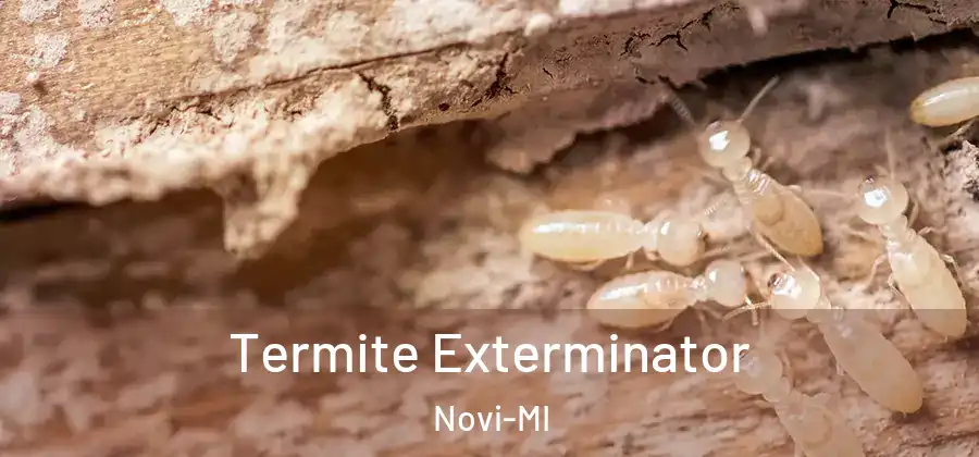Termite Exterminator Novi-MI