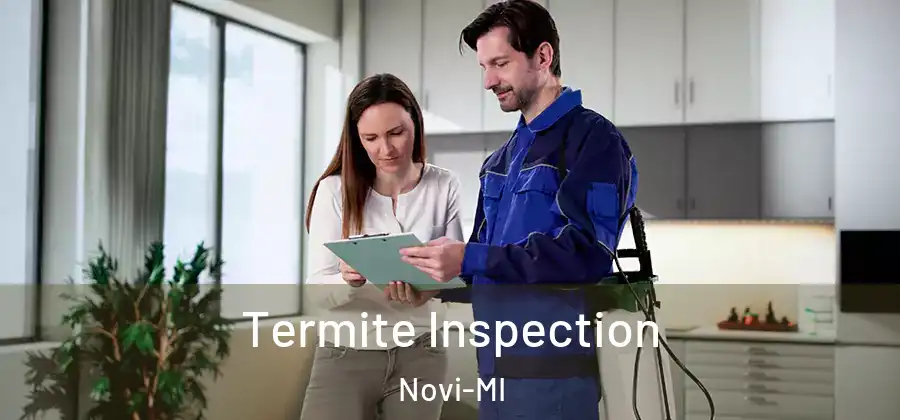  Termite Inspection Novi-MI