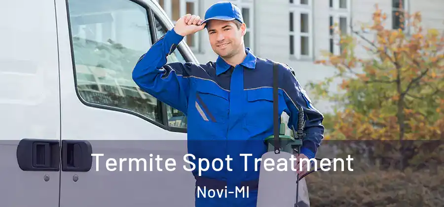  Termite Spot Treatment Novi-MI