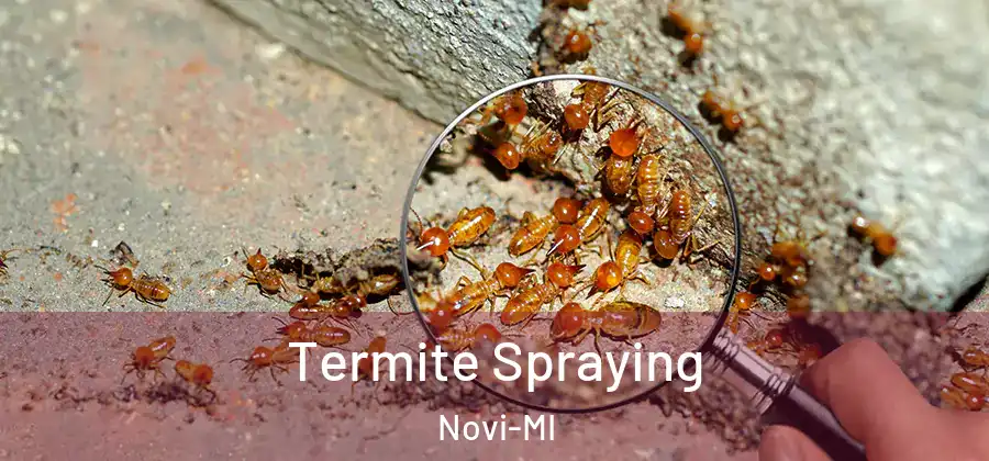  Termite Spraying Novi-MI