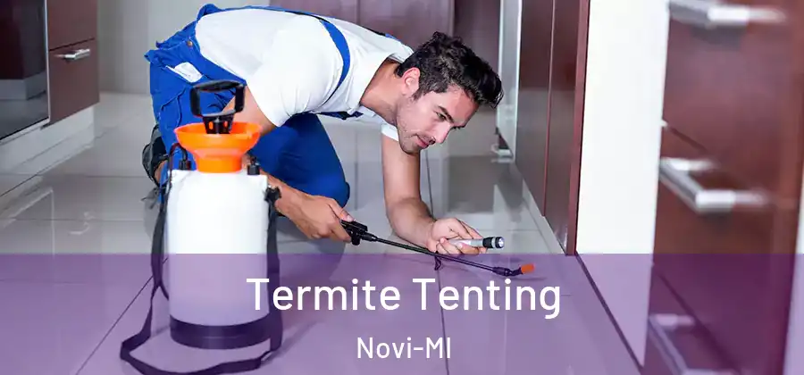 Termite Tenting Novi-MI