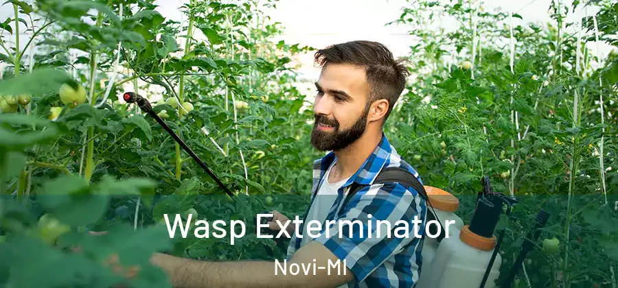 Wasp Exterminator Novi-MI
