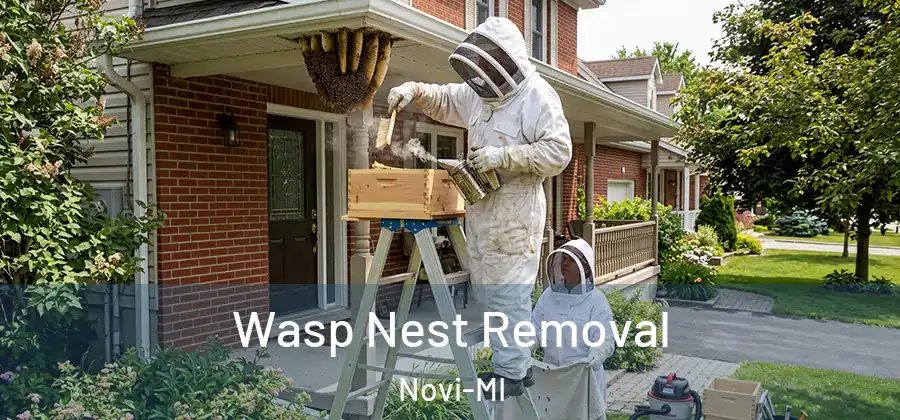  Wasp Nest Removal Novi-MI