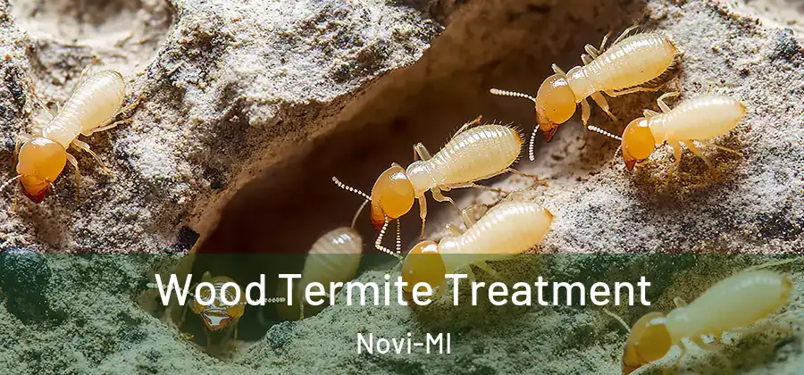 Wood Termite Treatment Novi-MI