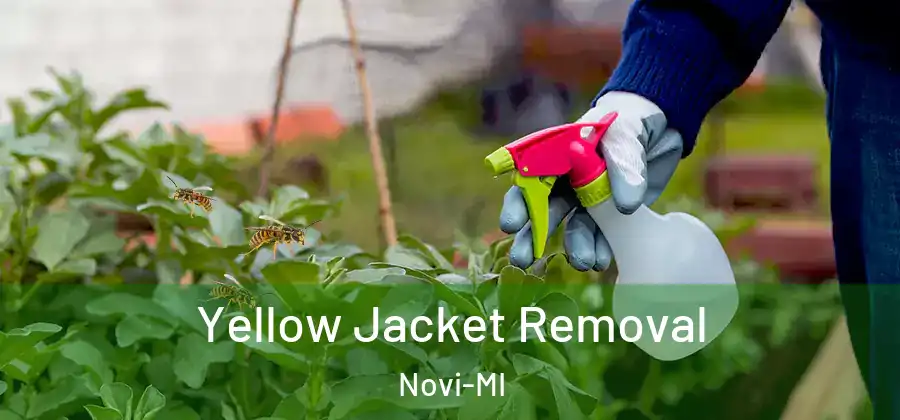 Yellow Jacket Removal Novi-MI